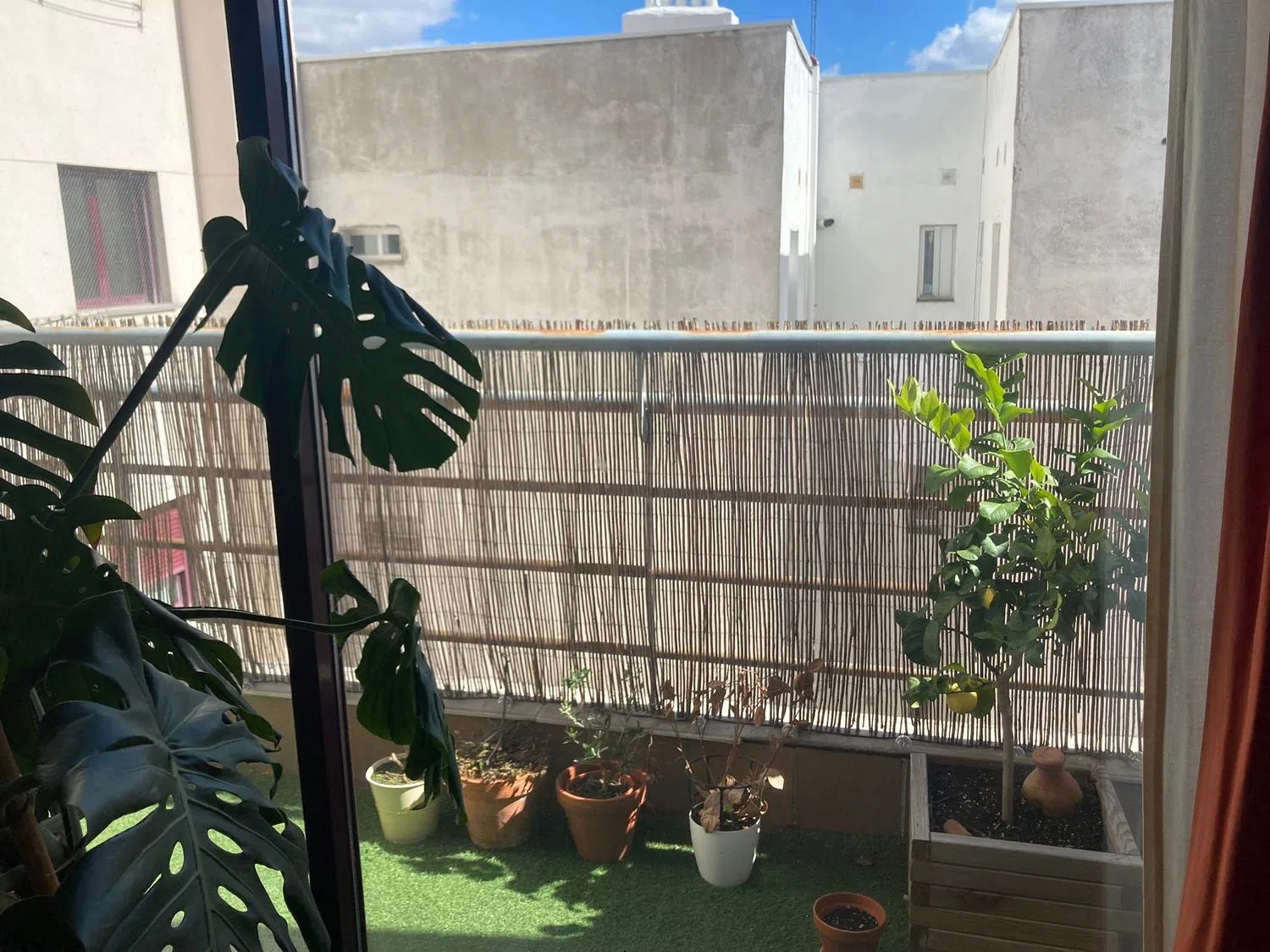 Estudio en avenida de la Reina Victoria, 7 - Foto 4