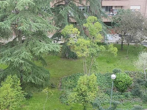 Piso en calle de la Maliciosa, 14 - Foto 17