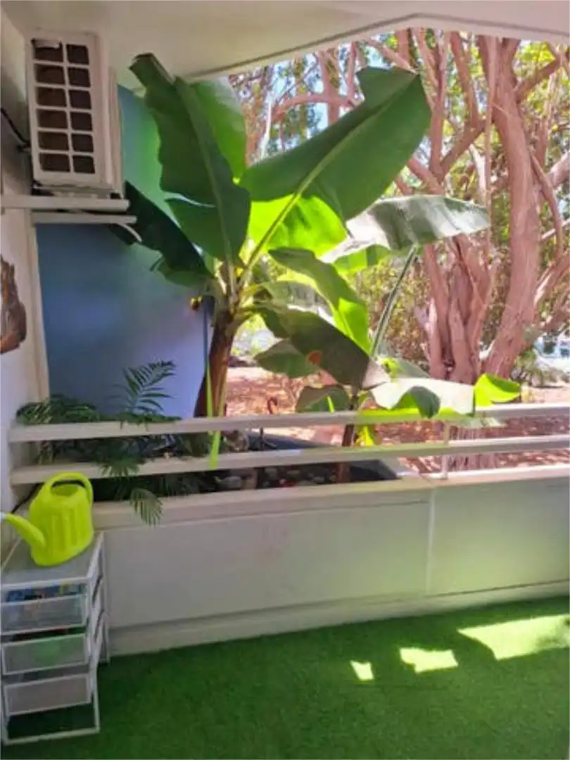 Apartamento en golf del sur - Foto 7