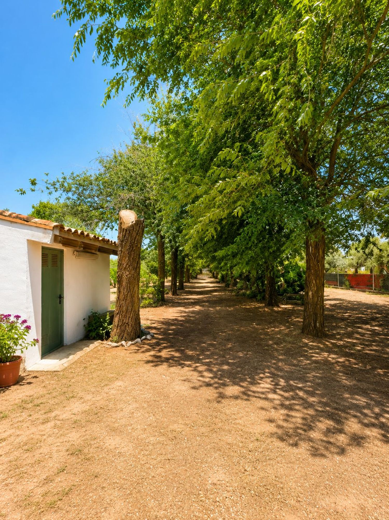 Casa o chalet independiente en N-301 s/n - Foto 12