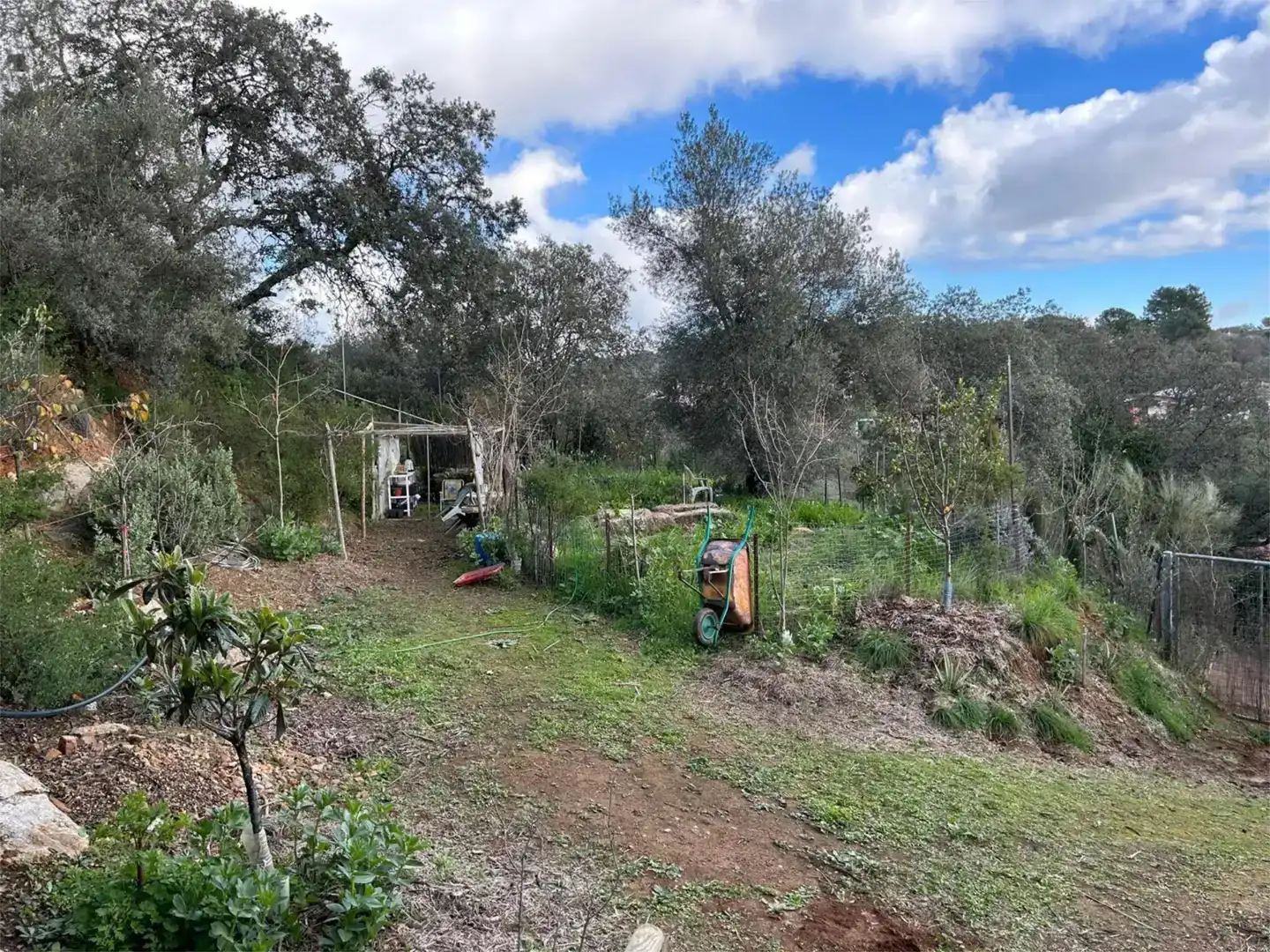 Finca rústica en  Camino Carrascoso Siete Fincas 180D - Foto 8