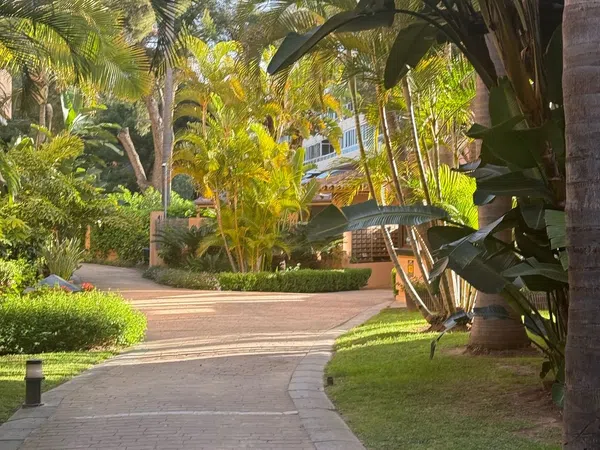 Piso en avenida Jacaranda, 32 - Foto 5