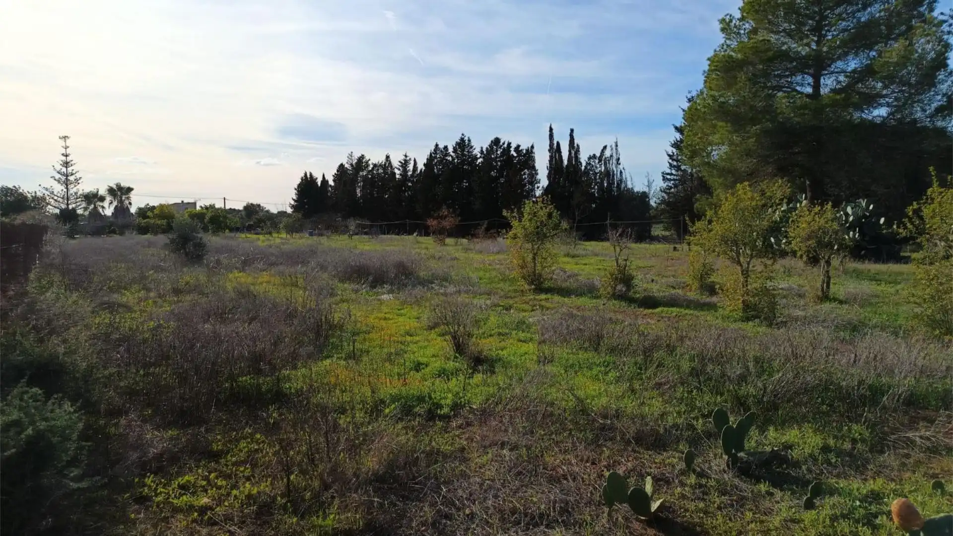 Finca rústica en  Camí Vell de Cala Pi 41 - Foto 4