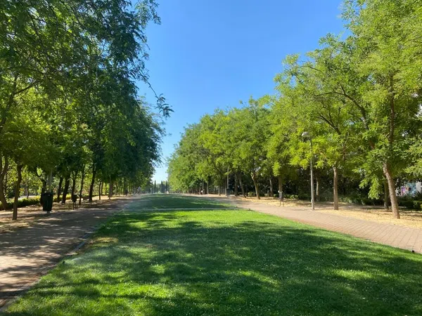 Piso en avenida de los Prunos, 15 - Foto 28