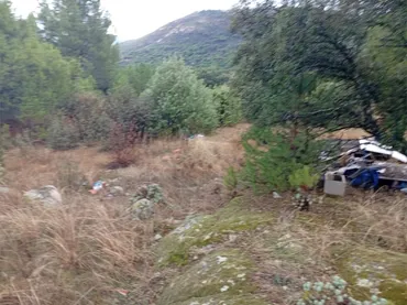 Finca rústica en  Calle Alipio García León 37A - Foto 3