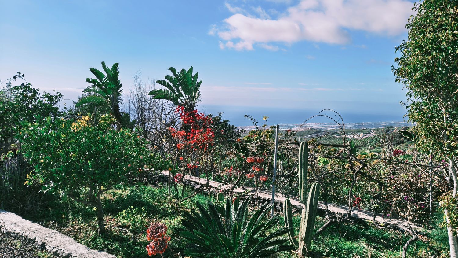 Estudio en Tf-82, 10 - Foto 8