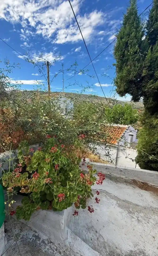 Casa adosada en  Diseminado la Parrilla 165 - Foto 4