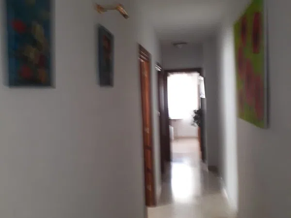 Piso en Calle Doctor Oloriz, 8, Plaza de Toros - Foto 4