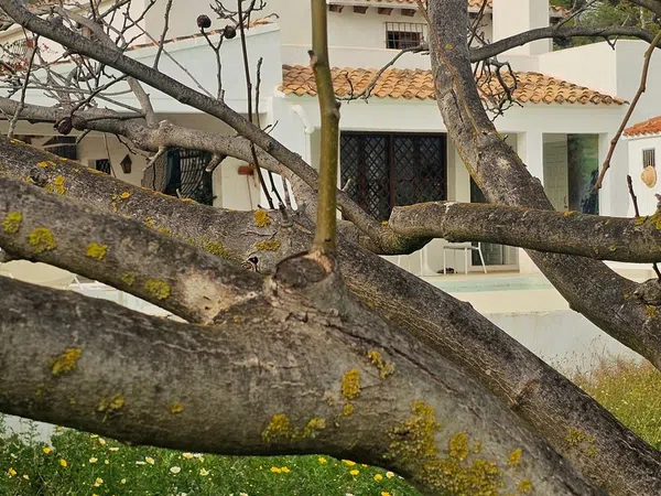 Casa rural en Altea Pueblo, Altea Pueblo - Foto 5