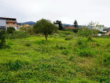 Terreno Industrial en  Calle la Trilladora 2 - Foto 8