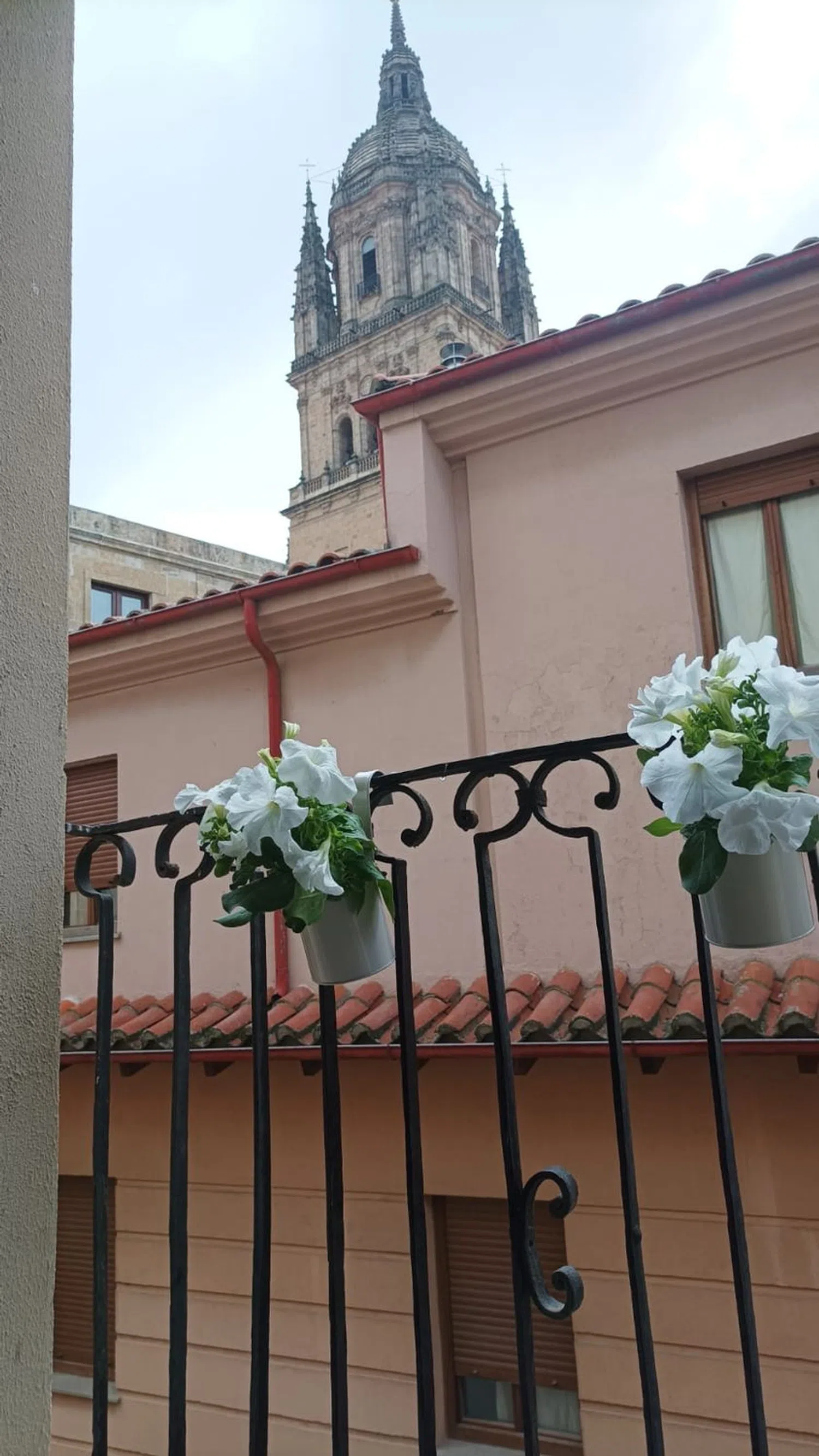 Piso en calle Horno, 2 - Foto 12