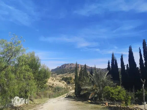 Casa o chalet independiente en Camino de la Trinidad del rodeo 49 Beniaján 30570 Murcia, 49, Beniaján - Foto 32