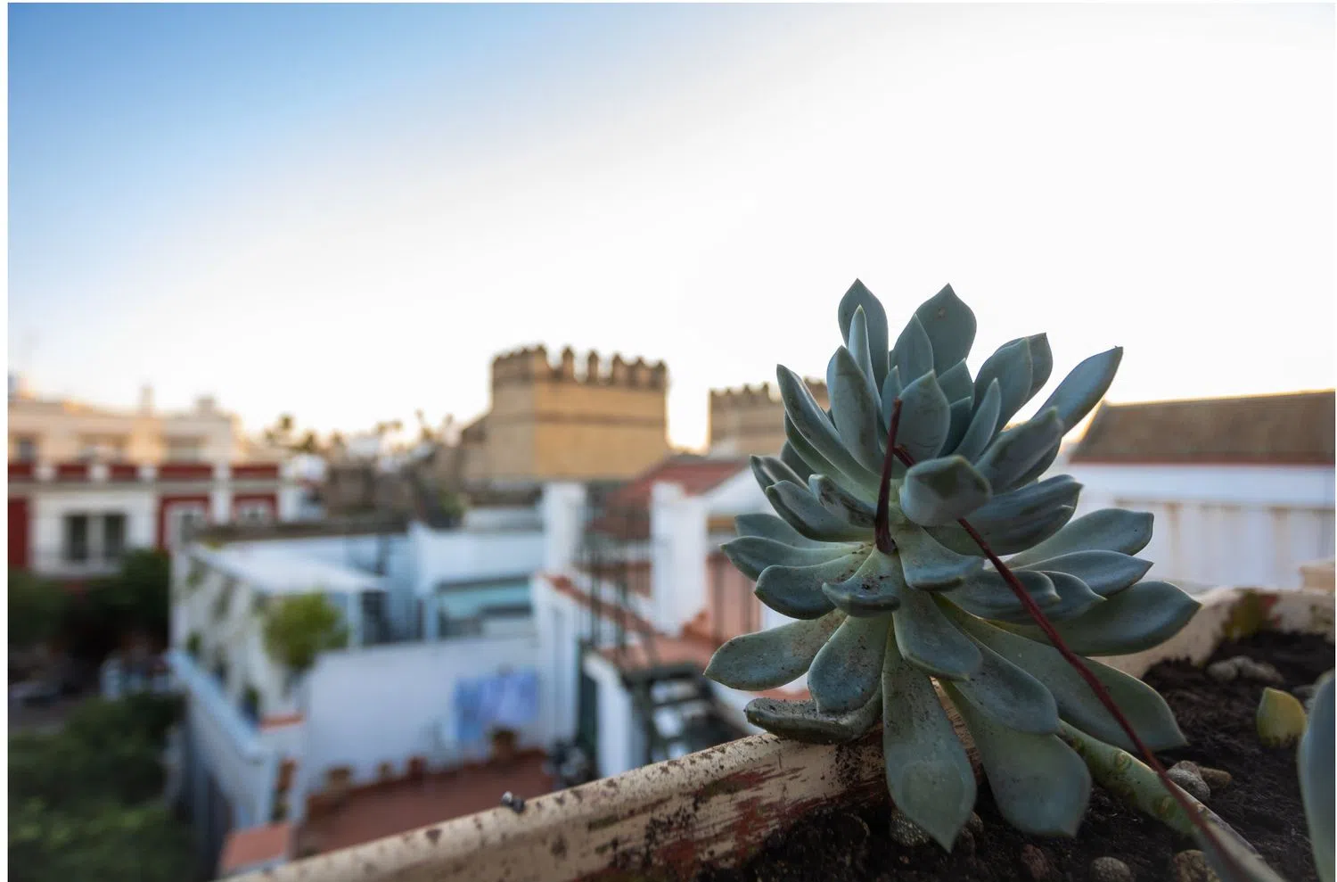 Dúplex en plaza de la Alianza, 3 - Foto 30