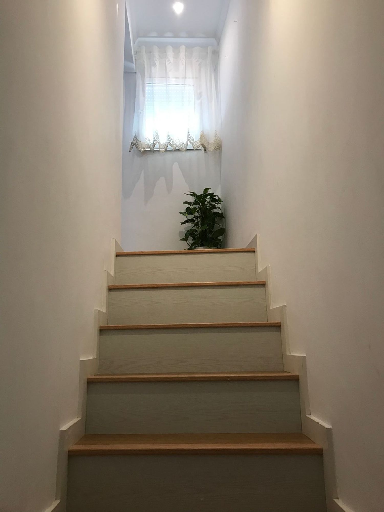 Casa o chalet independiente en Pasaje Dámaso Alonso, 10 - Foto 7