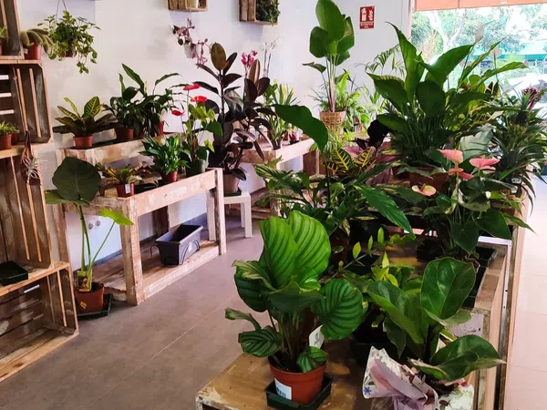 Local en Floristería en Eixample, Eixample - Foto 1
