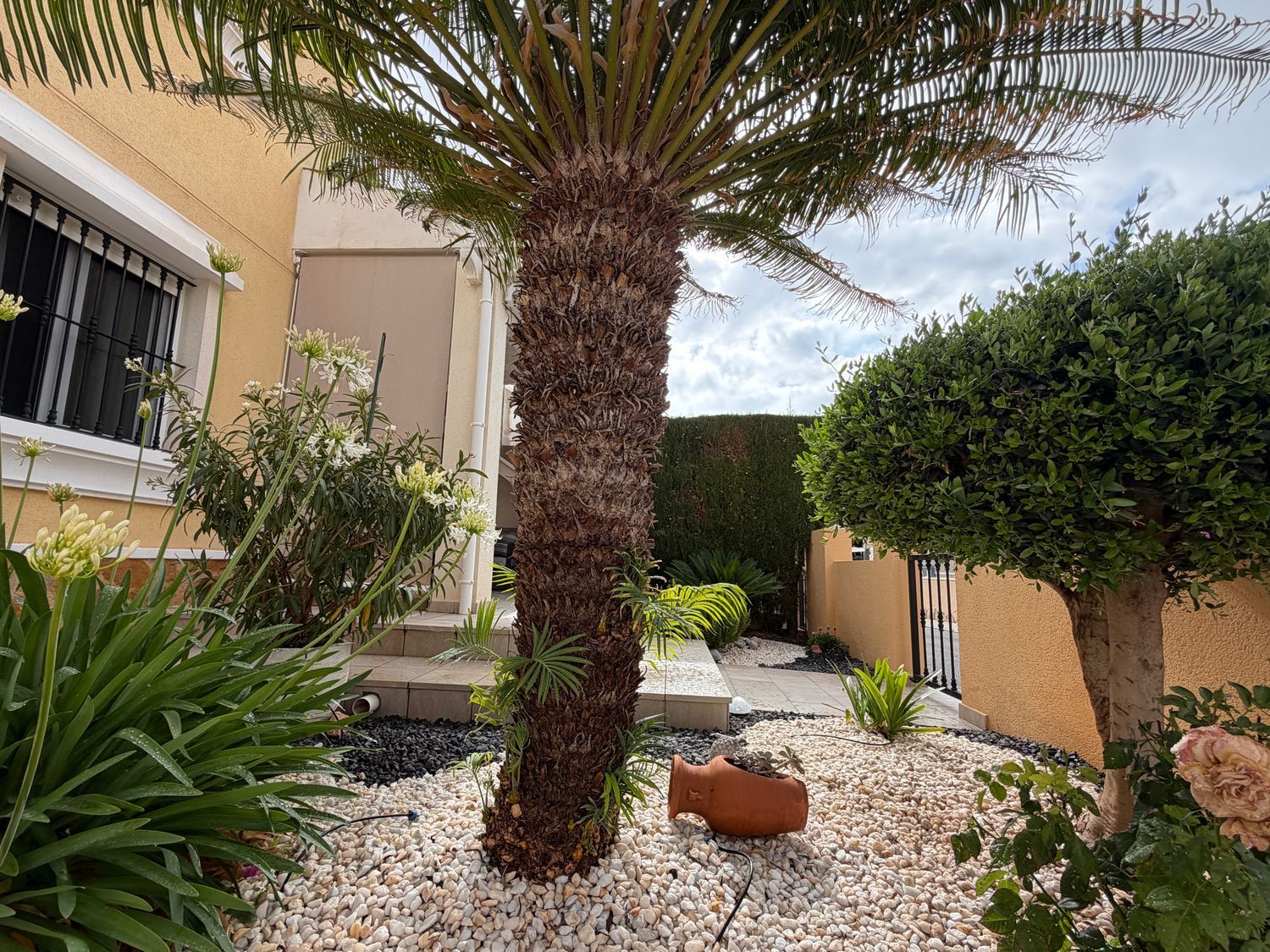 Chalet adosado en Calle Estragón, 5, Villamartín - Foto 10