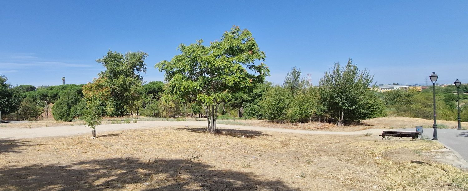 Chalet pareado en Prado de Somosaguas, Prado de Somosaguas - Foto 29
