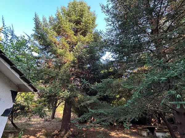 Casa terrera en Veral de Cal Negre, 19 - Foto 17