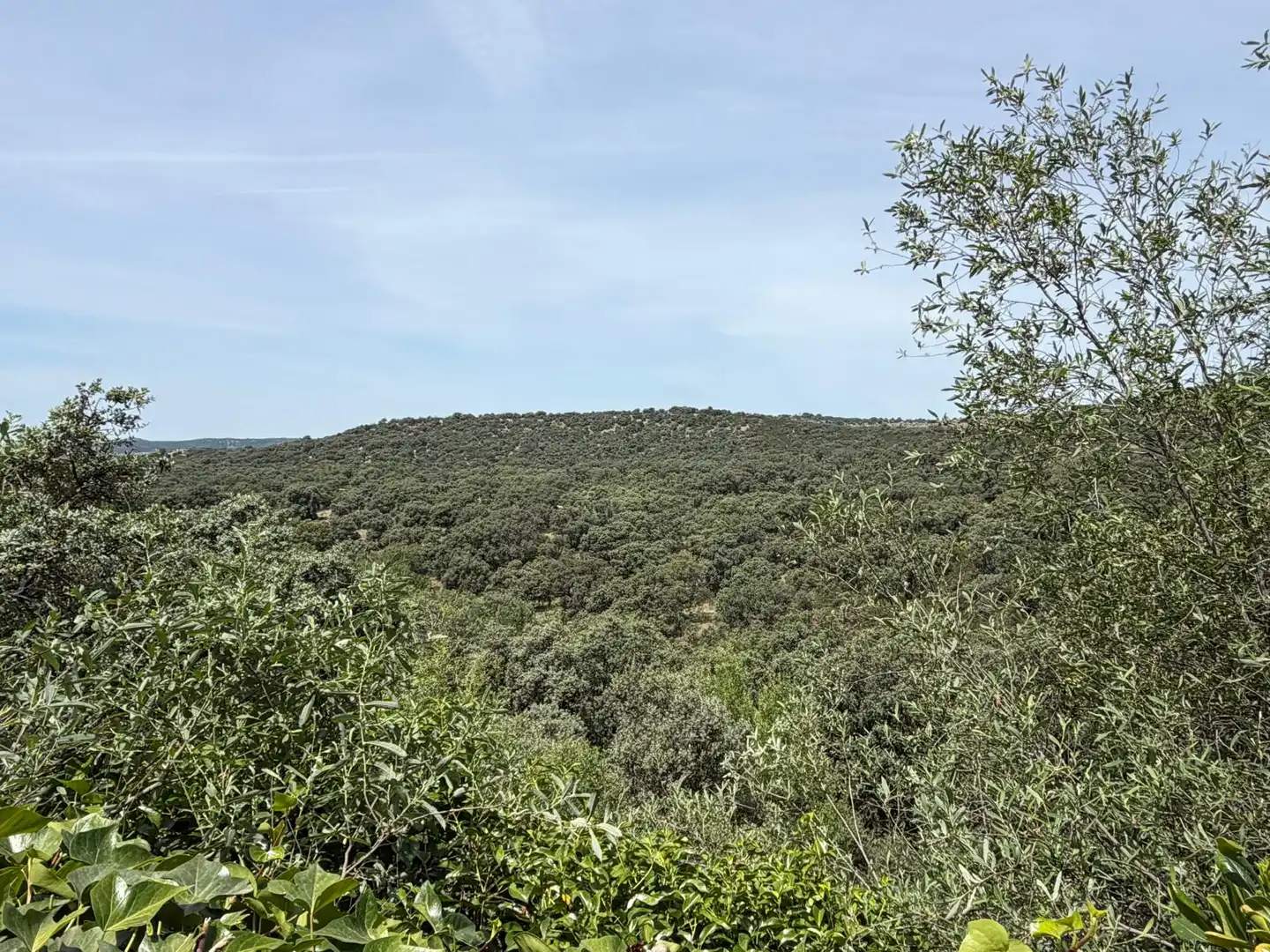 Chalet en Las Rozas de Madrid - Foto 14