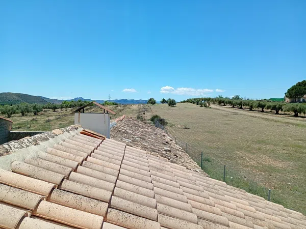 Finca rústica en Camino Vial, 999 - Foto 4