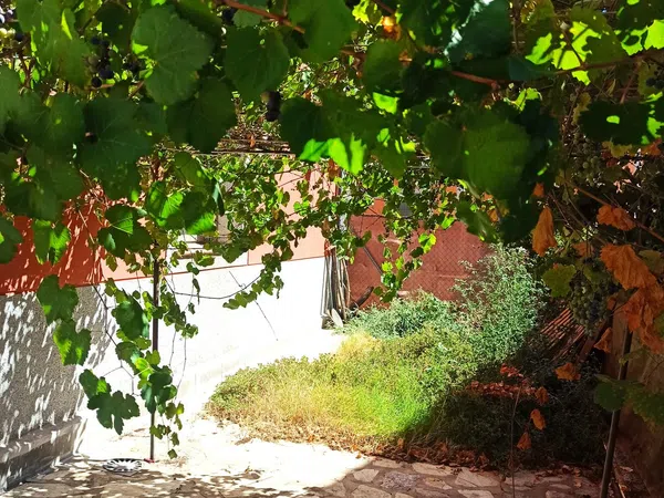 Chalet adosado en Viña Del Llano s/n - Foto 1