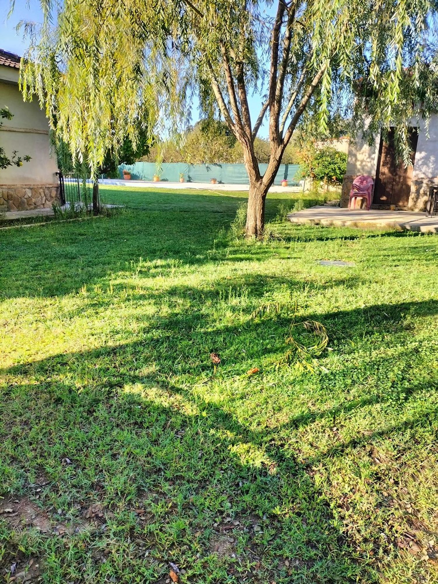 Casa o chalet independiente en Ronda de las Encinas, 115 - Foto 6