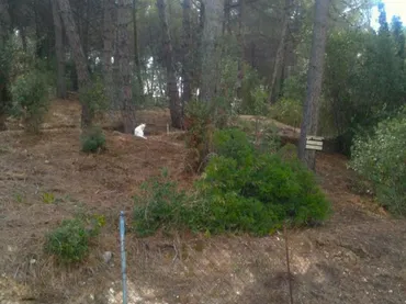 Terreno Residencial en  Passeig Walt Disney 23 - Foto 4