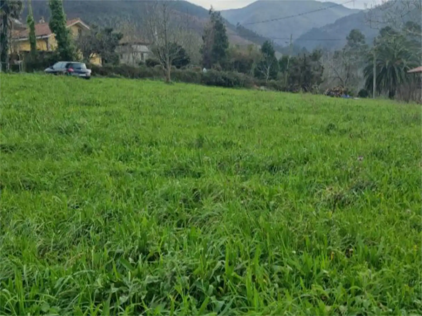 Finca rústica en  Carretera de Brieves 950 - Foto 4