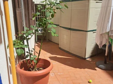 Piso en  Carrer Senda del Canyaret 2 - Foto 4