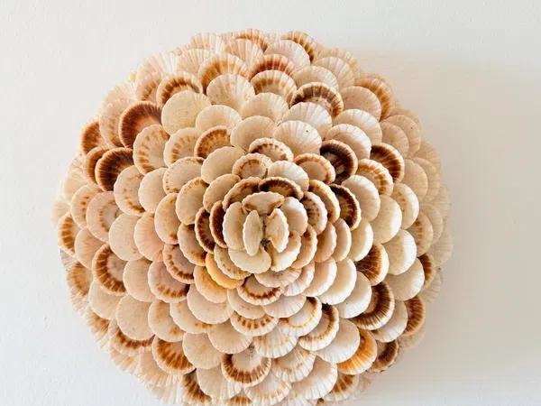 Piso en carretera d'Artà, 7 - Foto 17