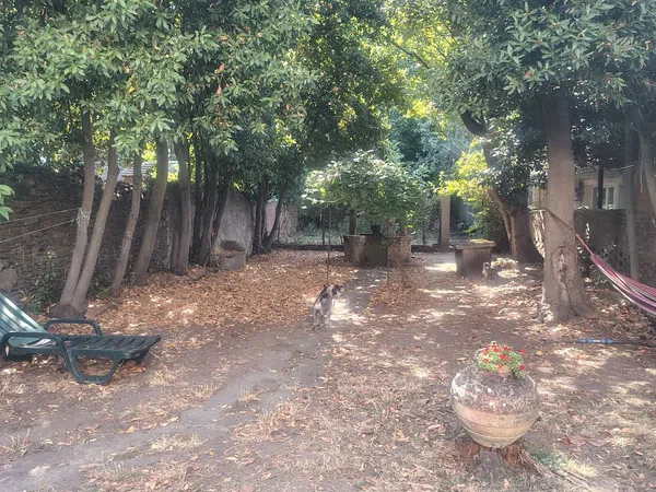 Casa de pueblo en Cardenal, 11 - Foto 37