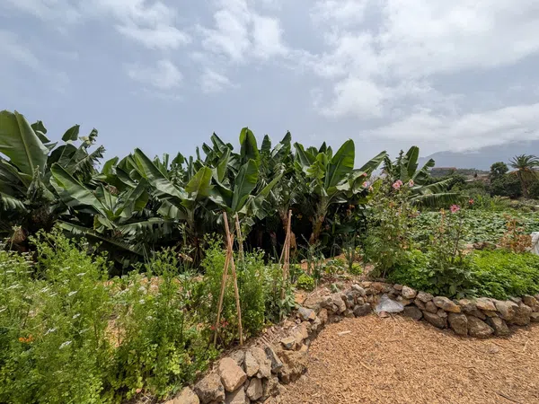 Casa rural en camino Carril, 39 - Foto 19