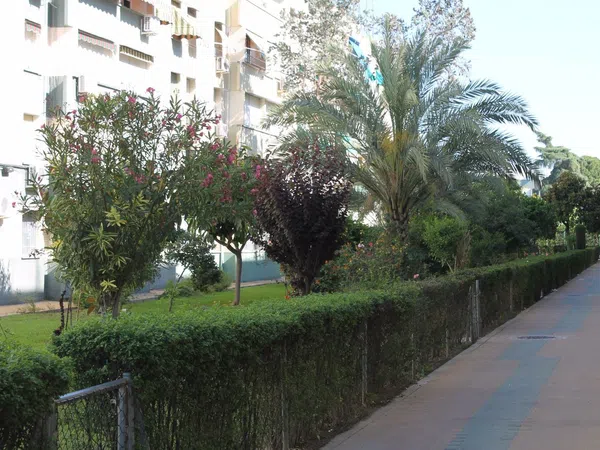 Piso en pasaje Marino Francisco de los Ríos, 4 - Foto 13