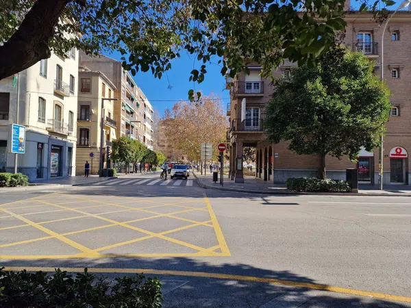Local en Calle Acera del Darro, 94, Carrera de la Virgen - Paseo del Salón - Foto 2