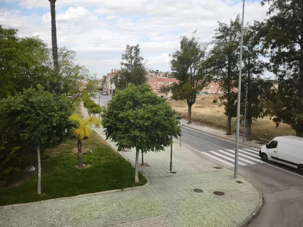 Casa o chalet independiente en Avenida de Alicante, 8, Churra, Murcia - Foto 11