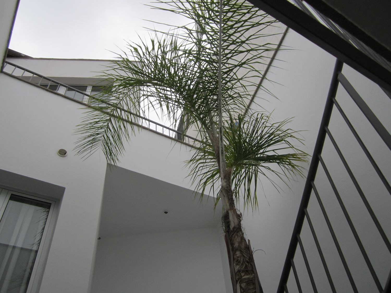 Casa o chalet independiente en la Cornisa s/n - Foto 40