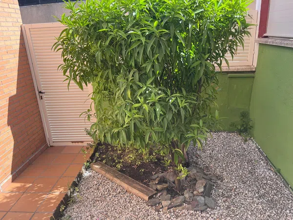 Chalet adosado en Seseña Centro, Seseña Centro - Foto 4