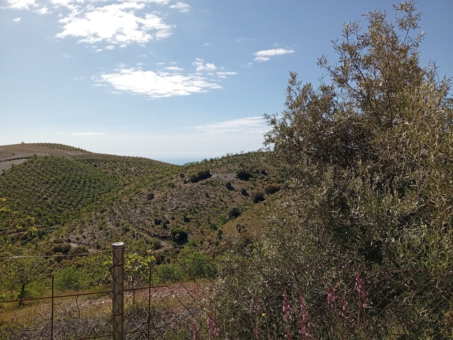 Cortijo en Cortijo en Torvizcon - Foto 19