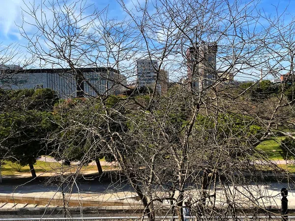 Piso en paseo de la Petxina, 13 - Foto 11