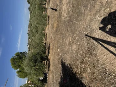 Finca rústica en  Prolongación Cañada del Tovar 34 - Foto 9