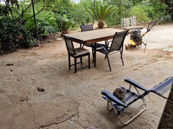 Casa o chalet independiente en Giner de los ríos, 9, Centro, Centro - Foto 6
