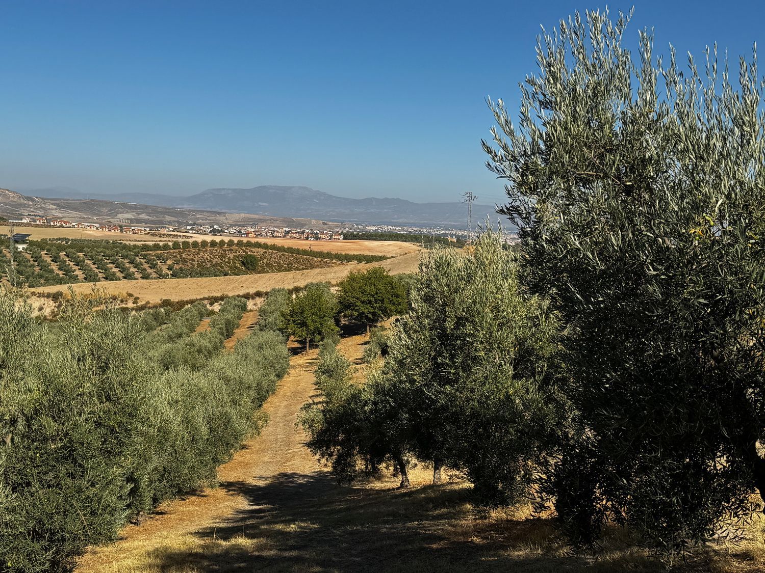 Finca rústica en Arroyo de la Calera 18152 s/n - Foto 10