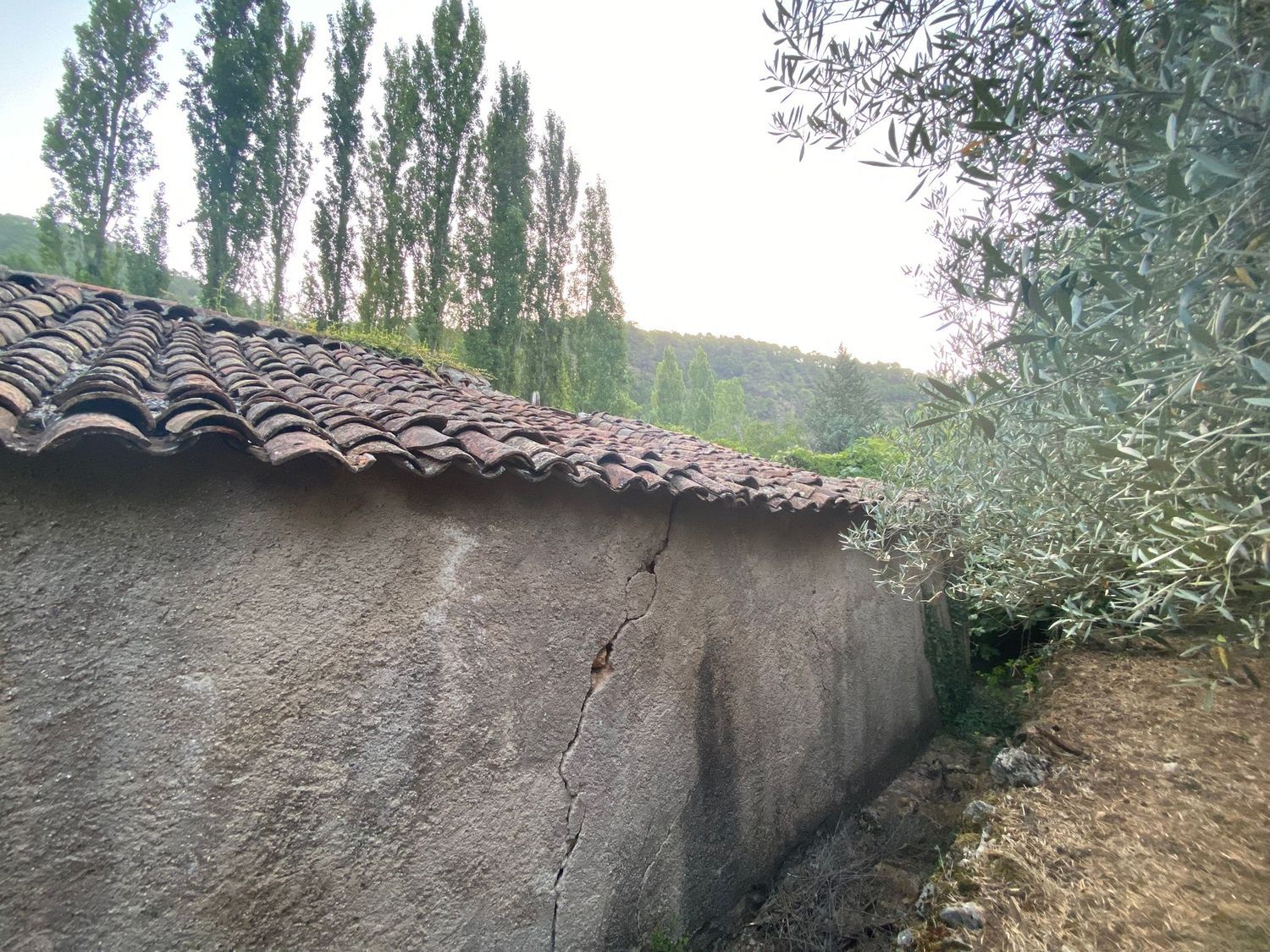 Finca rústica en Sn s/n - Foto 4