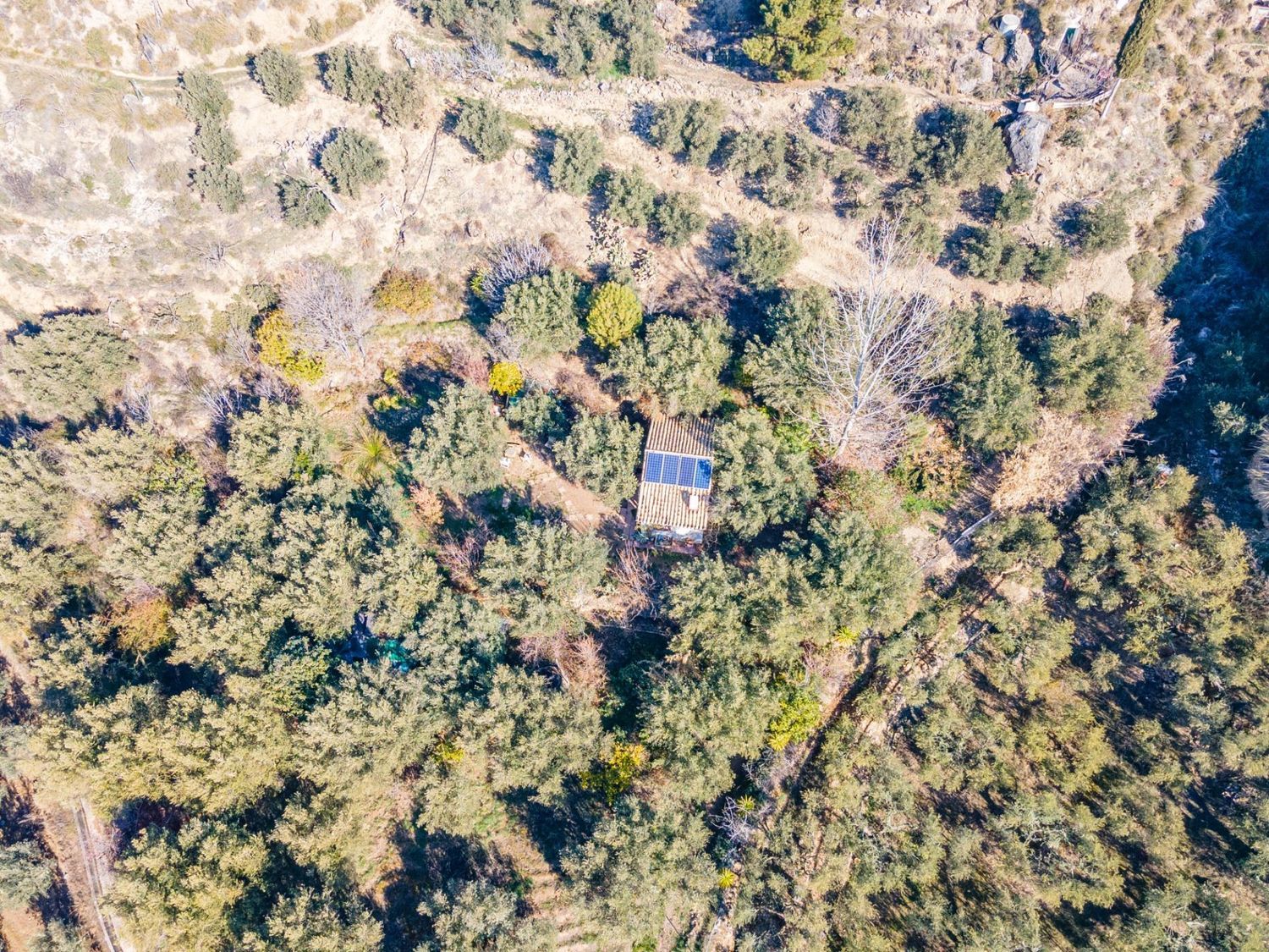 Cortijo en Solana s/n - Foto 23