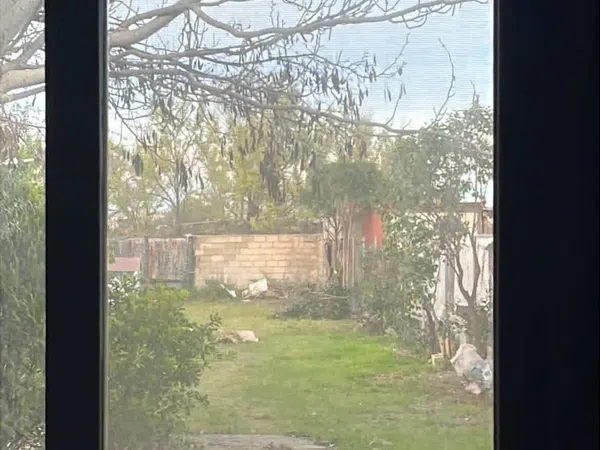 Finca rústica en Calle a Los Cipreses, 16, Casetas - Garrapinillos - Monzalbarba, Casetas - Garrapinillos - Monzalbarba - Foto 18