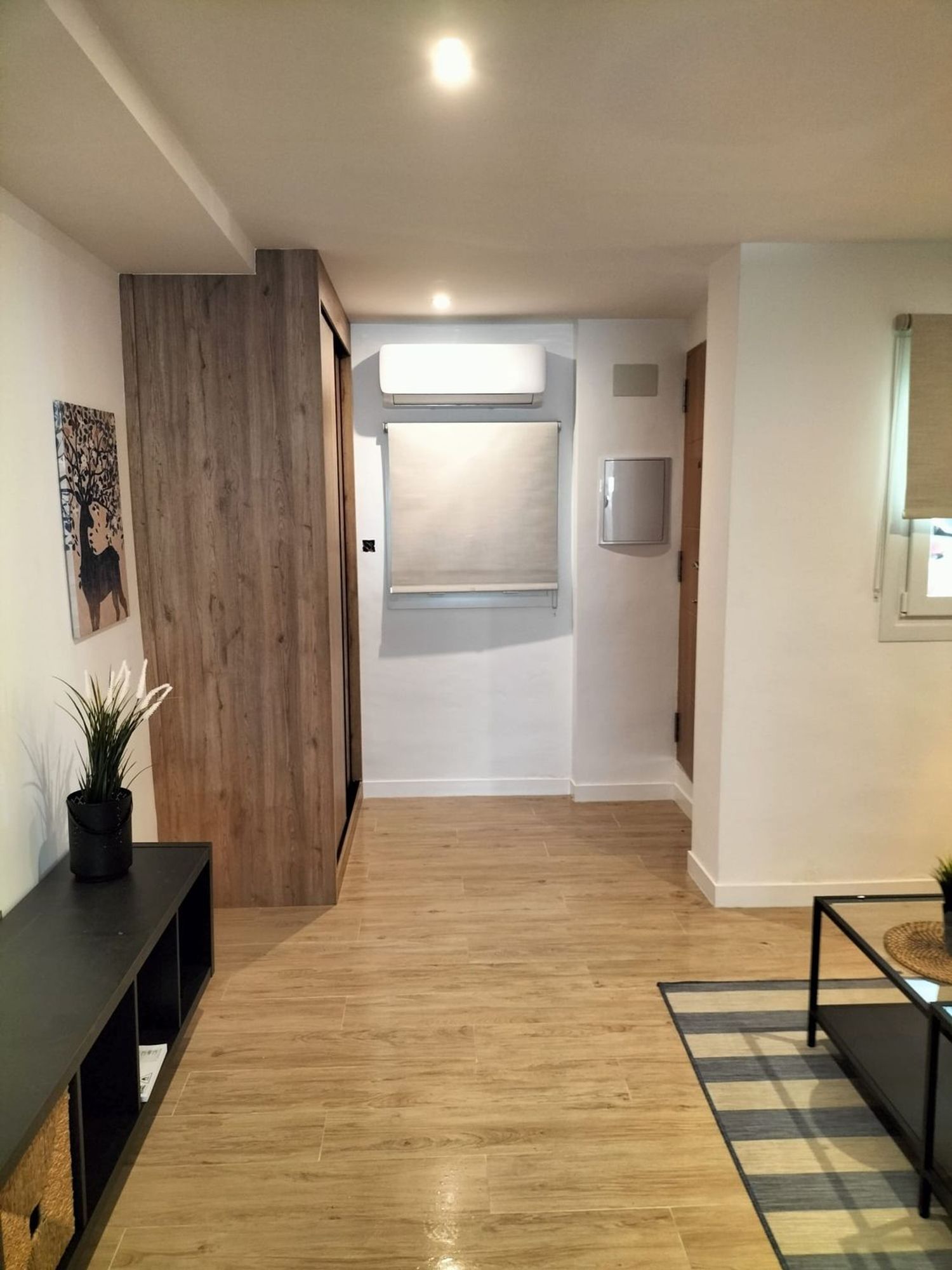 Estudio en calle José Fernández Pertierra, 4 - Foto 4