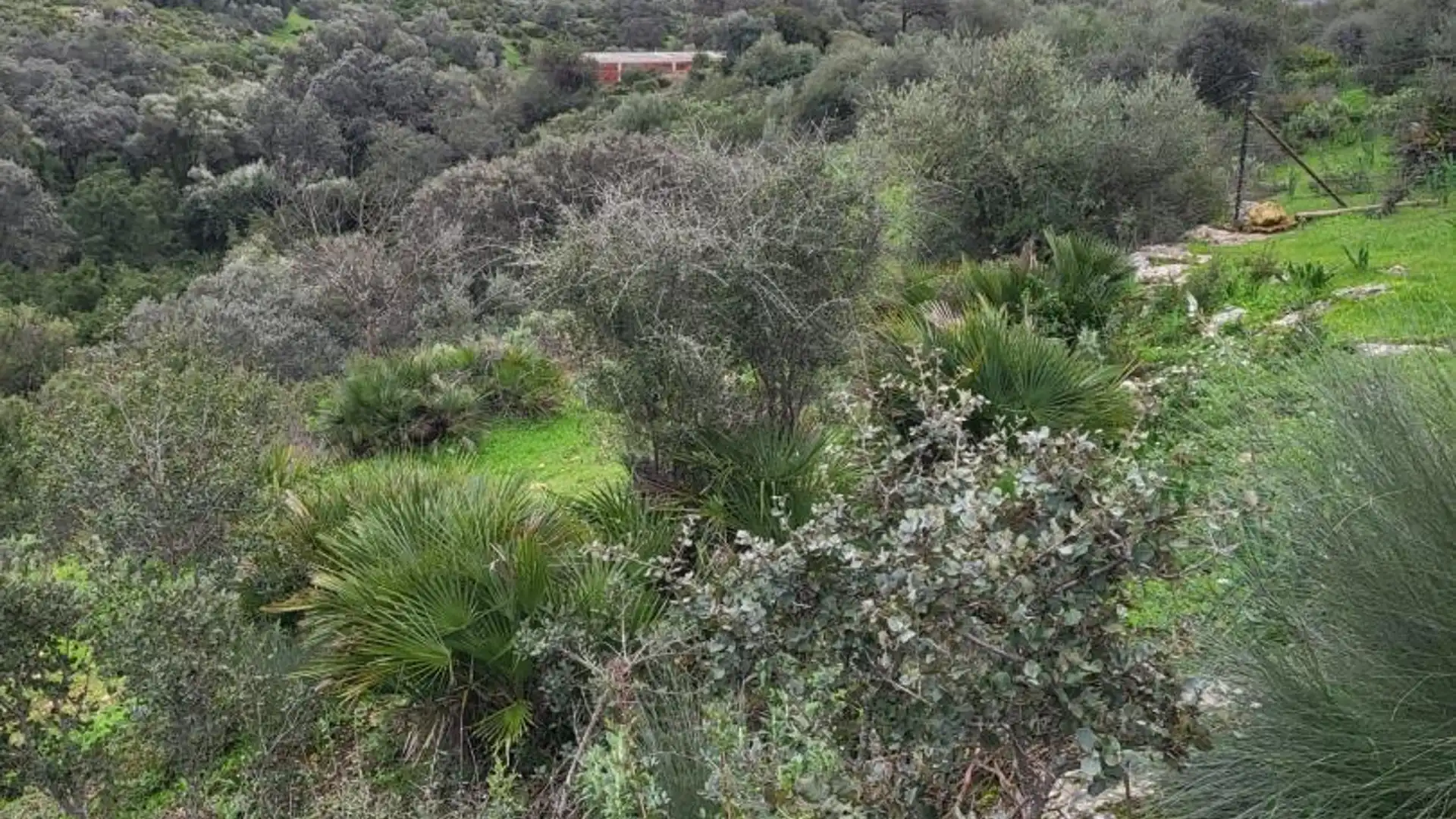 Finca rústica en  Calle Héctor Villa-Lobos 5 - Foto 9