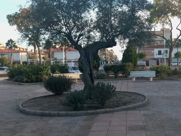 Chalet adosado en Avenida Salamanca, 25, Gran Playa, Gran Playa - Foto 15