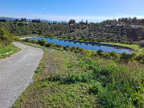 Finca rústica en Camino Arroyo Blas Gonzalez, 2, Buenavista-Lauro Golf, Buenavista-Lauro Golf - Foto 6