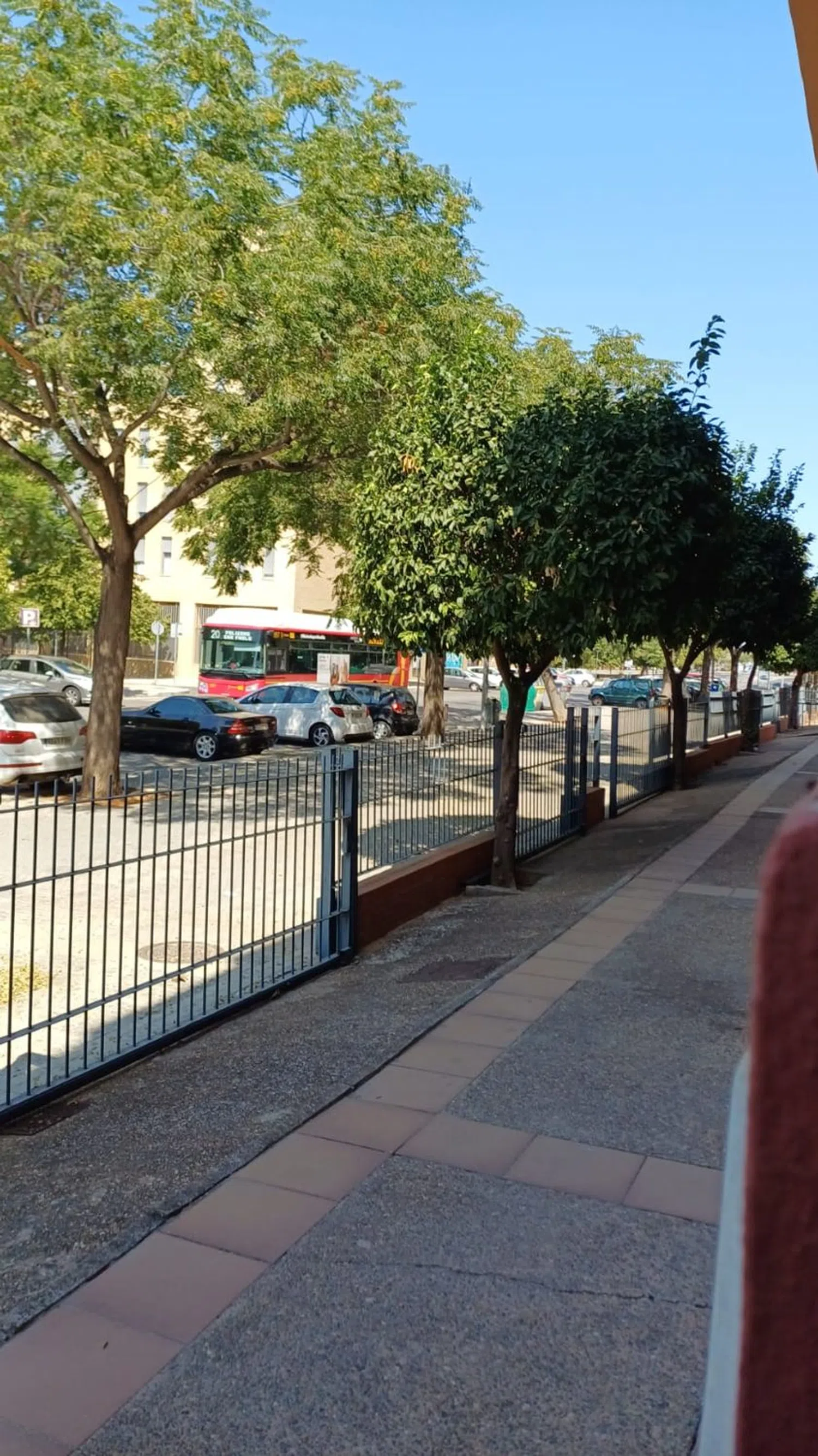 Piso en carretera de Carmona, 1 d - Foto 24